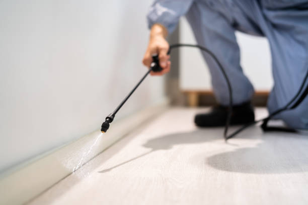 Licensed Termite Control service in Santee, CA - Show Me Pest Control