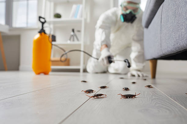 Post-Treatment Bed Bug Interceptor Monitoring in Santee