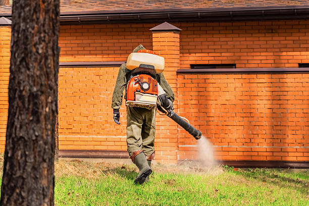 Bed Bug Clearance Verification and Documentation in Santee